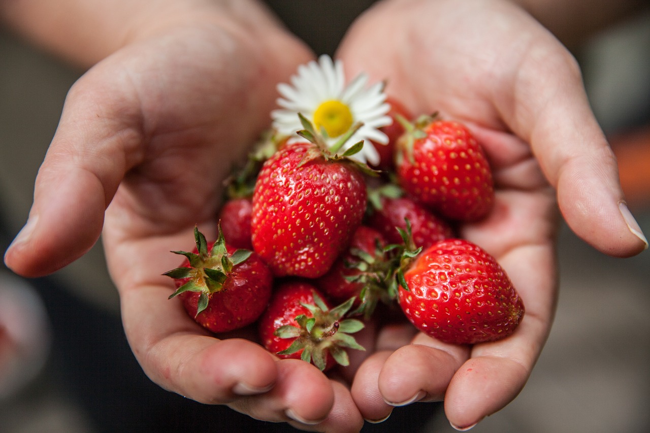 entdecken sie die vorteile einer gesunden ernährung! tipps für ausgewogene mahlzeiten, gesunde rezepte und wertvolle informationen, um ihre ernährung zu verbessern und ihr wohlbefinden zu steigern.