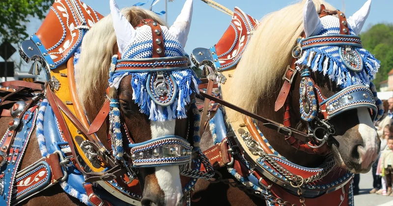 Umzugskosten berechnen: kostenlos geht, aber anders