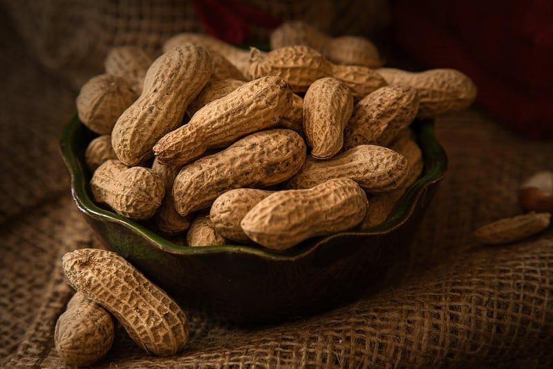 pausenbrot ideen für schule und büro: gesunde snacks für 2025