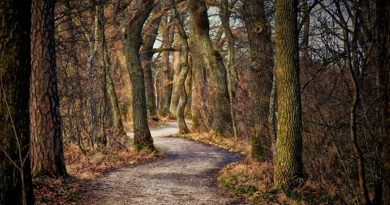 Die große Freizeitpark-Vergleichstabelle