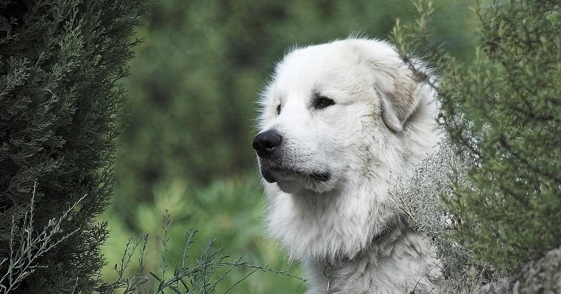 Gesundheit: Typische Krankheiten und was Sie wirklich kostet