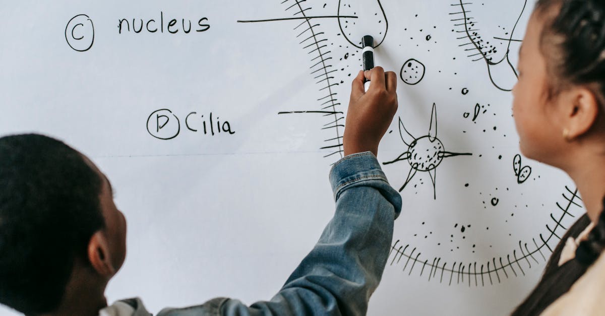 entdecken sie verschiedene lernmethoden, die ihnen helfen, effektiver und effizienter zu lernen. von traditionellen ansätzen bis hin zu modernen techniken bieten wir wertvolle tipps und strategien, um ihre lernziele zu erreichen.