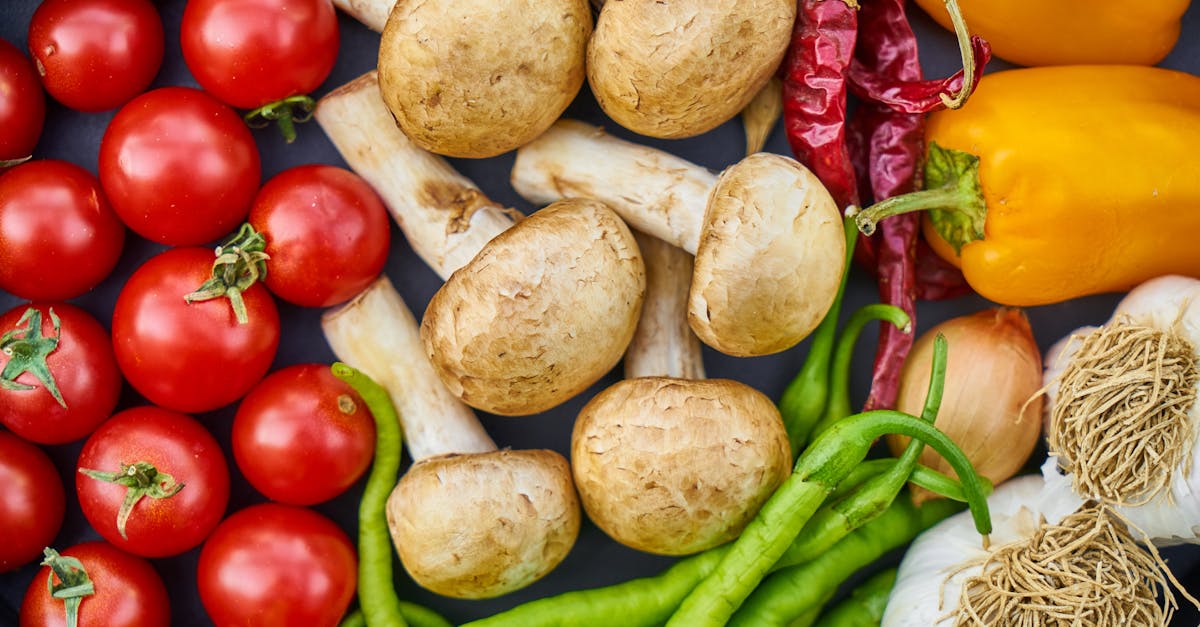 entdecken sie die vielfältige welt der ernährung! erfahren sie, wie eine ausgewogene ernährung ihre gesundheit verbessert, welche lebensmittel essentiell sind und wie sie ihre mahlzeiten optimal planen können.