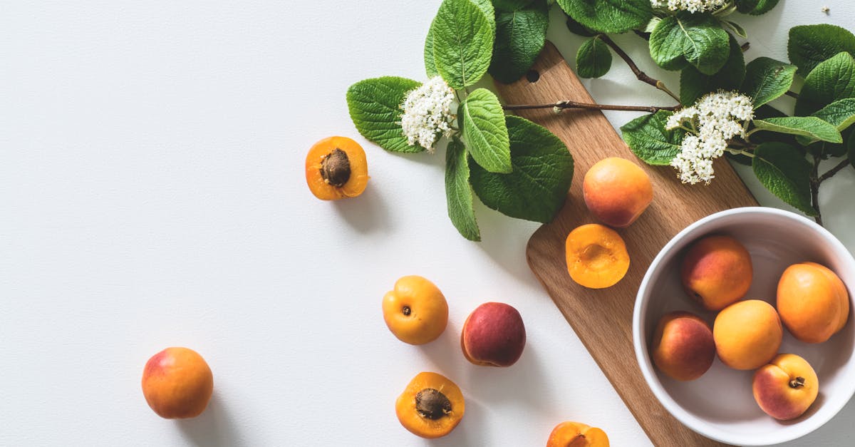 entdecken sie die geheimnisse einer ausgewogenen ernährung! erfahren sie mehr über gesunde lebensmittel, nährstoffe und tipps, um ihren lebensstil zu verbessern und wohlbefinden zu fördern.