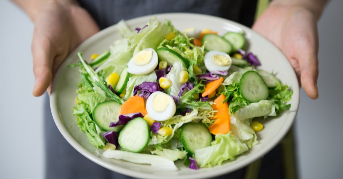 entdecken sie die bedeutung der ernährung für ihre gesundheit und ihr wohlbefinden. erfahren sie, wie ausgewogene ernährung und gesunde lebensmittel ihr leben positiv beeinflussen können.