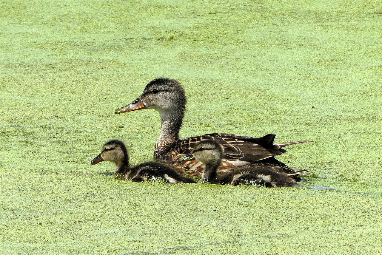 entdecken sie hilfreiche erziehungstipps für eltern, um das familienleben stressfreier und glücklicher zu gestalten.