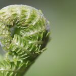 entdecken sie hilfreiche tipps und ratschläge zur erziehung, um das familienleben zu verbessern und starke bindungen zu ihren kindern aufzubauen.