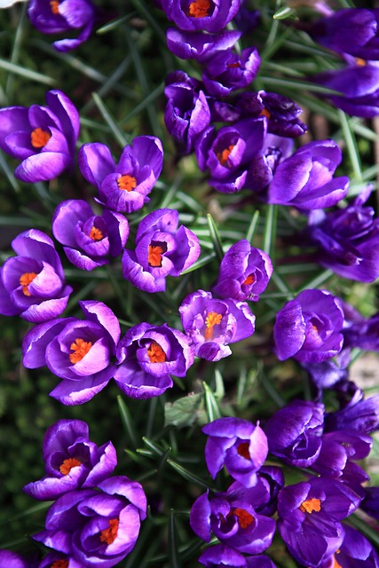 kindererziehung 2025: tipps und neue ans&auml;tze f&uuml;r eine gelungene erziehung zu hause