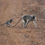ein umfassender elternratgeber mit praktischen tipps und strategien zur erziehung und förderung von kindern jeden alters.