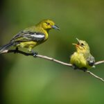 elternberatung: professionelle unterst&uuml;tzung und beratung f&uuml;r eltern bei erziehungsfragen und famili&auml;ren herausforderungen.