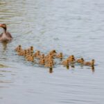entdecken sie unseren kindergarten &ndash; ein sicherer und liebevoller ort f&uuml;r die fr&uuml;hkindliche bildung und f&ouml;rderung.